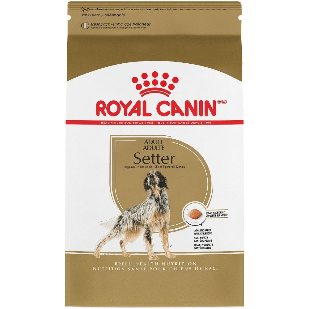 Royal canin hot sale irish setter