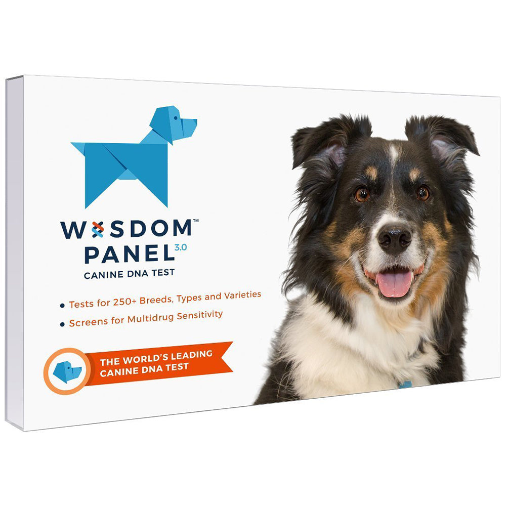 Border Collie Health Panel  Veterinary Genetics Laboratory